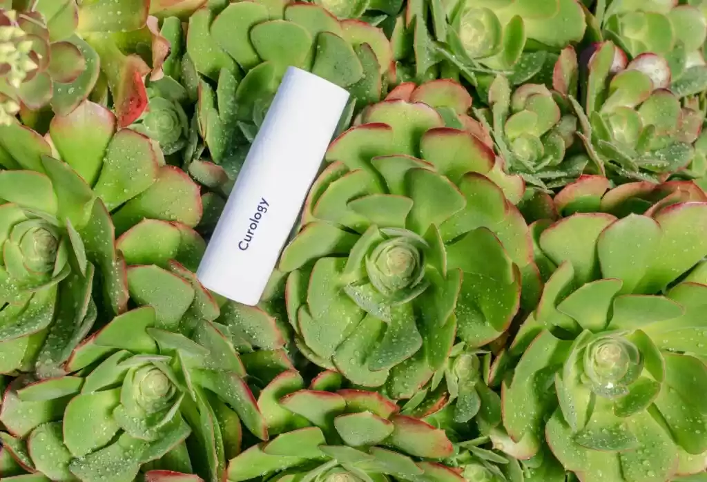 Green Thumb Essentials: Tools Every Modern Gardener Needs